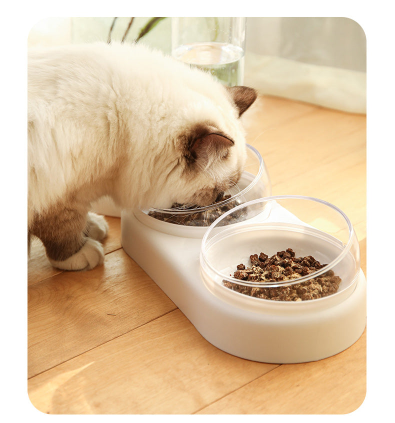Automatic Dog and Cat Water and Food Feeder